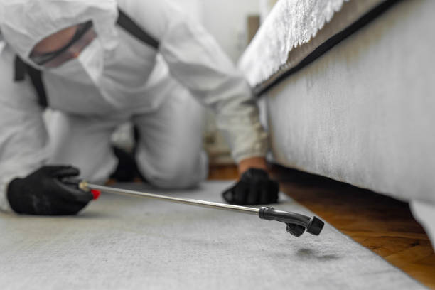 Professional Termite Control technician working in San Felipe, TX