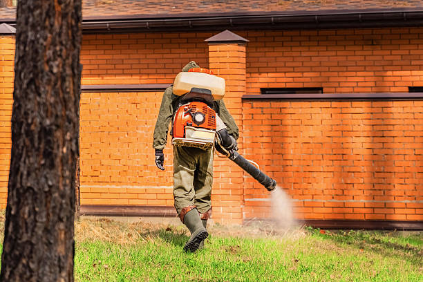 Trusted Mosquito Control service in San Felipe, TX - Nex Pest Control